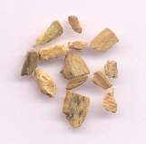 Canella winterana: Dried bark of white cinnamon
