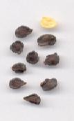 Capsicum pubescens: Rocoto seeds