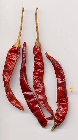 Capsicum annuum: Tien tsin 天津 chili peppers (China)