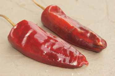 Capsicum annuum: Large-fruited dried red chili from Bhutan