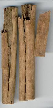 Cinnamomum zeylanicum: Ceylon cinnamon