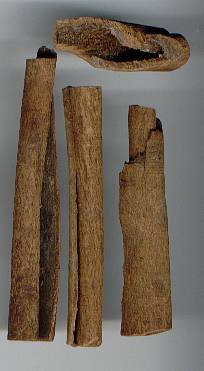 Cinnamomum burmannii: Padang-Zimtrinde
