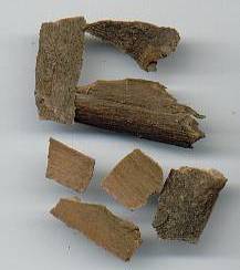 Cinnamomum loureiroi: Vietnamese cinnamon