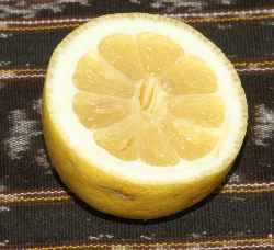Citrus limon: Zitronenhälfte