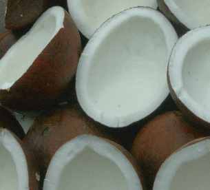 Cocos nucifera: Geschäte und gespaltene Kokosnüsse