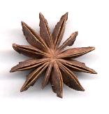 Illicium verum: Twelve-pointed star anis pod