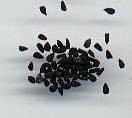 Nigella sativa: Black onion seeds (falsely ‘black cumin’)