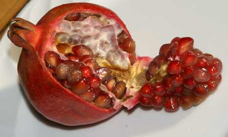Punica granatum: Pomegranate fruit opened
