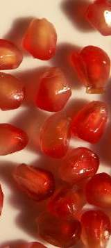 Punica granatum: Pomegranate grains