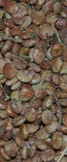 Rhus coriaria: Getrocknete Sumachfrüchte