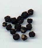 Tasmannia (Drimys) lanceolata: Dried Tasmanian peppercorns