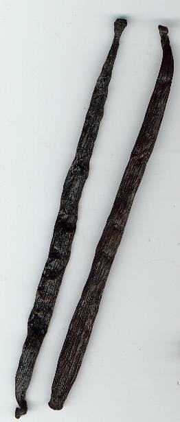 Vanilla planifolia, tahitensis: Vanilla beans