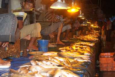 Fish mongers at Battala Market, Agartala, Tripura (North East India)