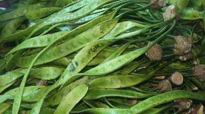 Zawngṭah vegetable (Parkia javanica) seen at Bara Bazar Market in Aizawl, Mizoram (North-Eastern India)