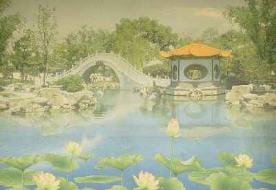Lotus pond in Vietnamese Buddhist Temple (Trung Tam Vien Giac) in Bodhgaya, Bihar (Northern India)