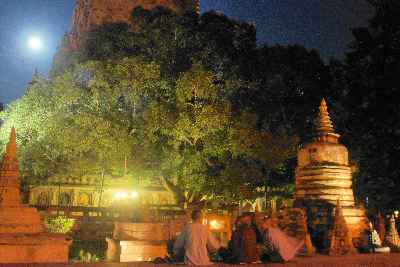 Pilgrims meditating in front of Mahabodhi tree during full moon in Bodhgaya, Bihar, Northern India
