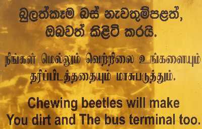 Beetles and other insects must not be eaten in Colombo Bus Stand, Sri Lanka 