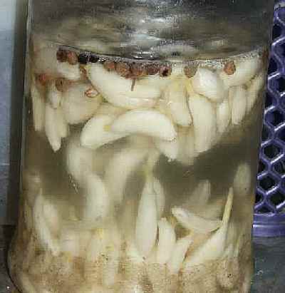 Indian / Tibetan food: Garlic water with Sichuan pepper corns (gog-chu)