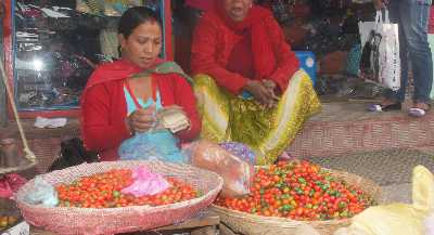 Hot Chili (Akabare Khorsani, Capsicum chinense) on a market in Dharan Bazaar, Nepal