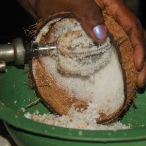 Sri Lankan Food: How to grate coconut 