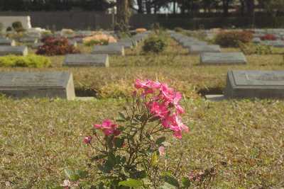 Second World War Cemetary in Imphal, Manipur (Northeast India)