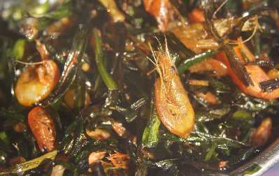 Manipuri/Indian Food: Dried shrimps with fried nakupi garlic leaves (Khajing) 