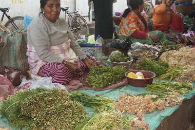 Culinary herbs at „Mother Market“ Ima Keithel in Imphal, Manipur, North-East India