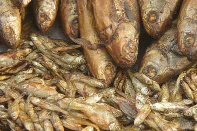 Dried fish at „Mother Market“ Ima Keithel in Imphal, Manipur, North-East India