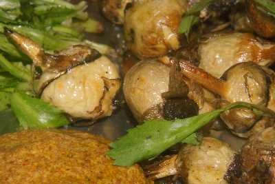 Indian / Manipuri food: Koukha Bora Pakora (fried arrowhead tubers) with Long Coriander and mustard paste chutney 