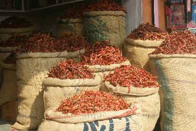 Wholesale Chili Vendor in Jaipur, Rajasthan (India)