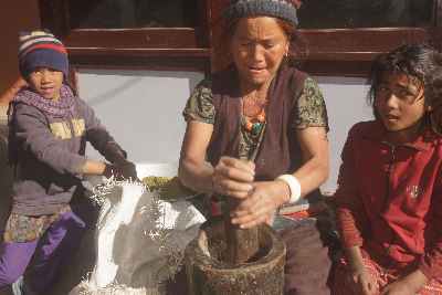 Woman grinding dried cypress twigs for incence, Kagbeni (Mustang, Nepal)