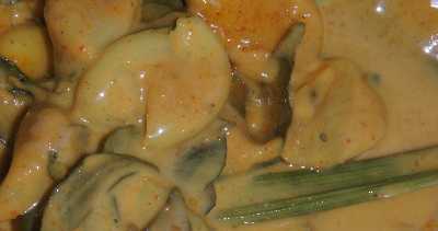 Sri Lankan Food: Garlic  Curry in Coconut milk sauce, eaten in Pink House (Tourist Guest House in Kandy)
