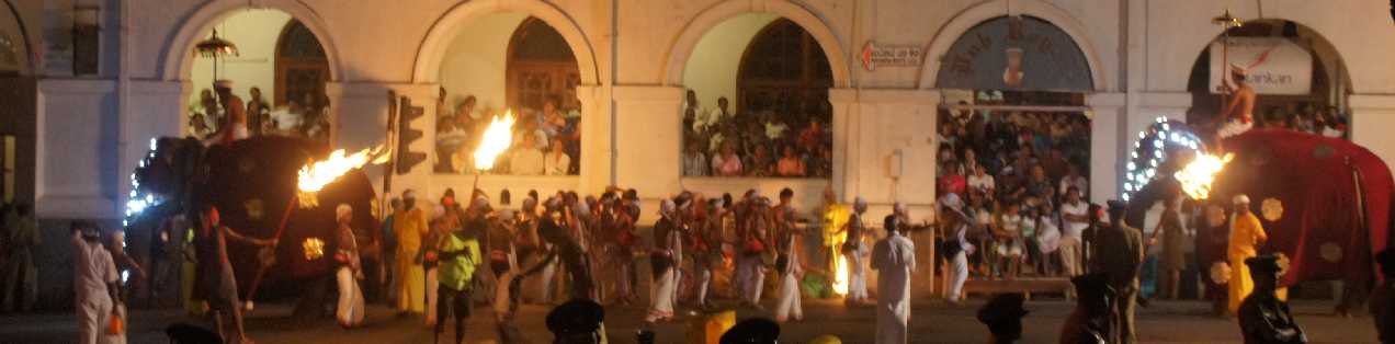 Elephants and Musicians/Dancers of the Dalada Perahera, Kandy, HillCountry (Sri Lanka)