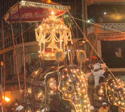 Nighttime Dalada Perahera: Elephant carrying the Sacred Tooth Relic in Kandy, Hill Country, Sri Lanka
