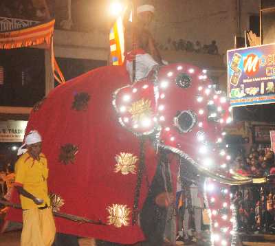 Nighttime Dalada Perahera: Elephant with red robe and bluish-white lights in Kandy, Hill Country, Sri Lanka