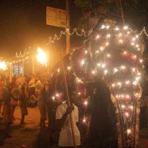 Lankatilaka Viharaya Perahera: Robed and illuminated elephant, near Kandy, Hill Country, Sri Lanka