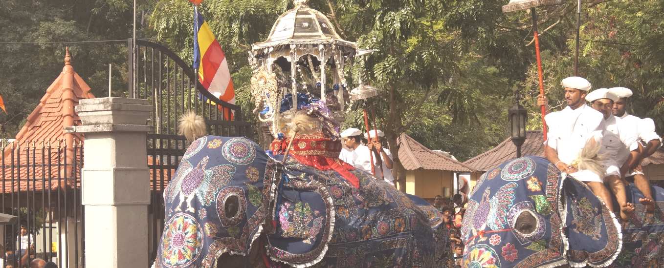 Esala/Dalada Perahera in Kandy, Sri Lanka, Vishnu Elephants during Daval Day Perahera