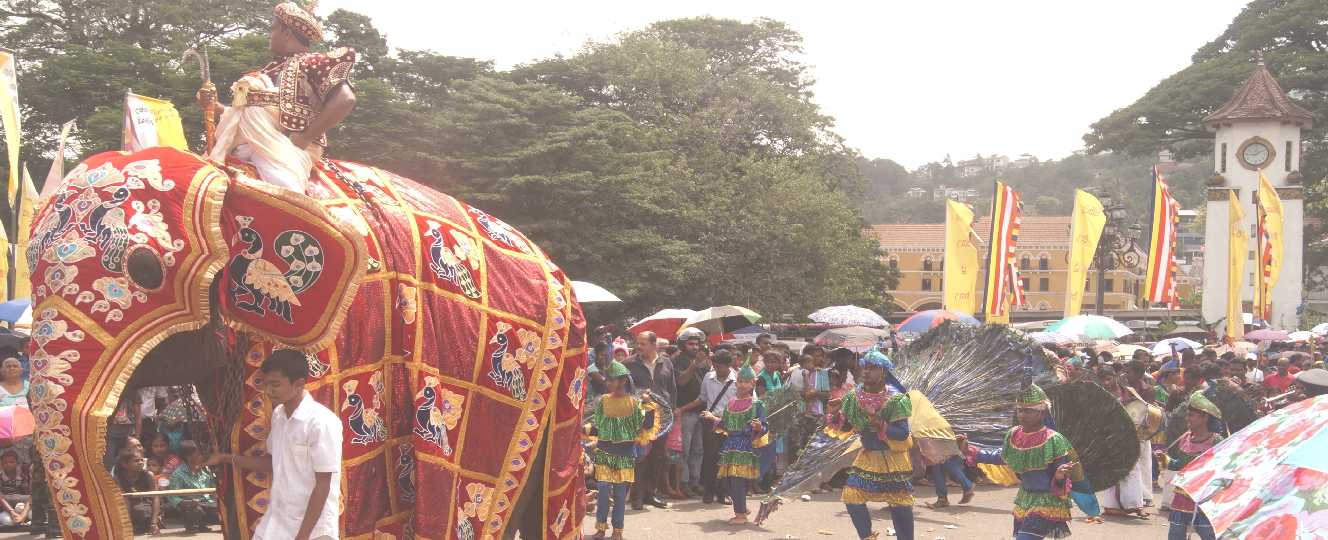 Esala/Dalada Perahera in Kandy, Sri Lanka, Kataragama elephant and peacock dance in front of Kandy clocktower during Daval Day Perahera