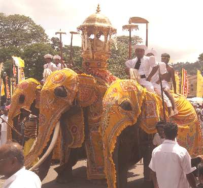 Esala/Dalada Perahera in Kandy, Sri Lanka, Natha Elefants during Daval Day Perahera
