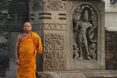 Buddhist monk in front of Malwatu Maha-Viharaya in Kandy (Maha-Nuwara), Sri Lanka