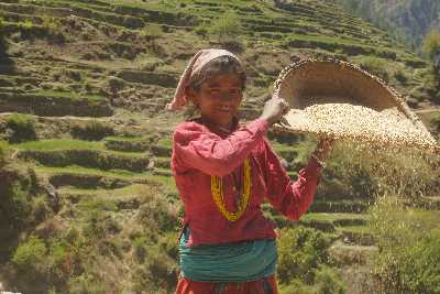 Woman winnowing wheat, Nagma, Western Nepal