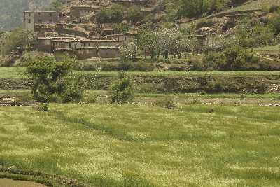 Village and barley fields, seen from Karnali Highway, Western Nepal
