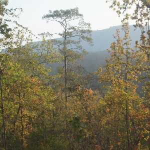 Landscape near Birendranagar, view from Karnali Highway (Surkhet to Jumla, Western Nepal)