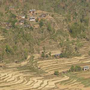 Extended wheat terrace fields view from Karnali Highway (Surkhet to Jumla, Western Nepal)
