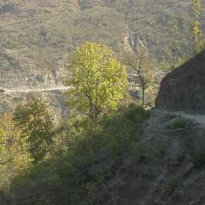 View from Karnali Highway (Surkhet to Jumla, Western Nepal)