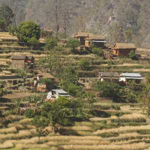 Village in wheat terraces, view from Karnali Highway (Surkhet to Jumla, Western Nepal)