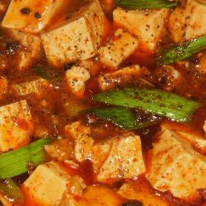 Chinese Food: Ma-po doufu (hot and numbing tofu)