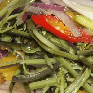 Chinese Food: Shan-jiao jue-cai, fern tip salad