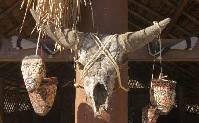 Mithun (Bos frontalis) skull at Naga Chang tribal house, in Kisama Naga Tourist Village, near Kohima, Nagaland, North-Eastern India