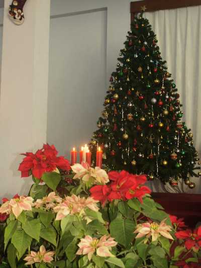 Christmas decoration in Union Baptist Church, in Kohima, Nagaland, North-Eastern India